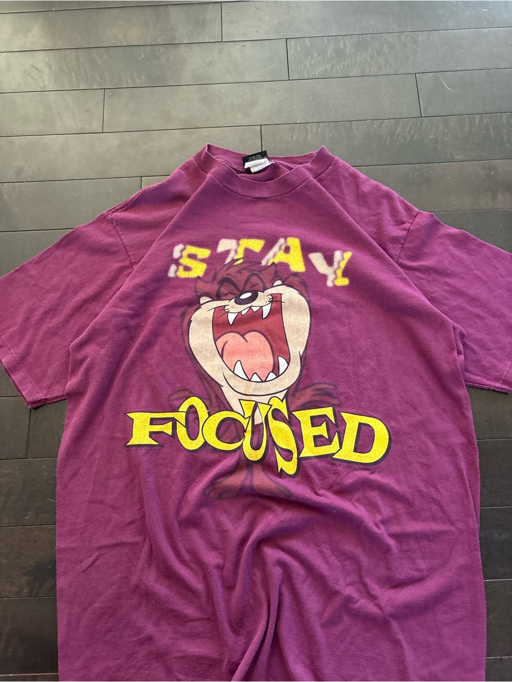 Vintage 90s taz shirt